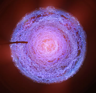 PVD多弧離子鍍設備陰極電弧放電穩定性研究